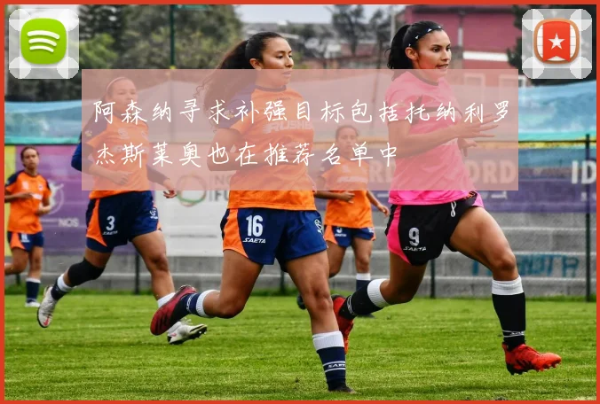 阿森纳寻求补强目标包括托纳利罗杰斯莱奥也在推荐名单中