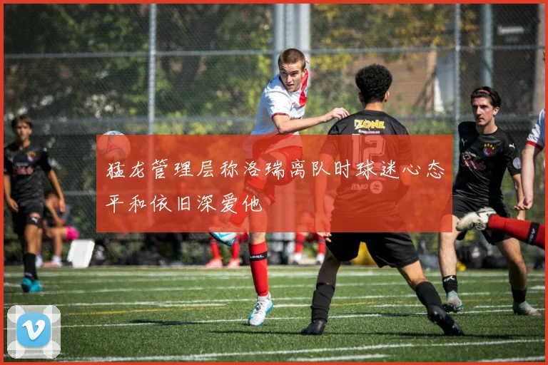 猛龙管理层称洛瑞离队时球迷心态平和依旧深爱他